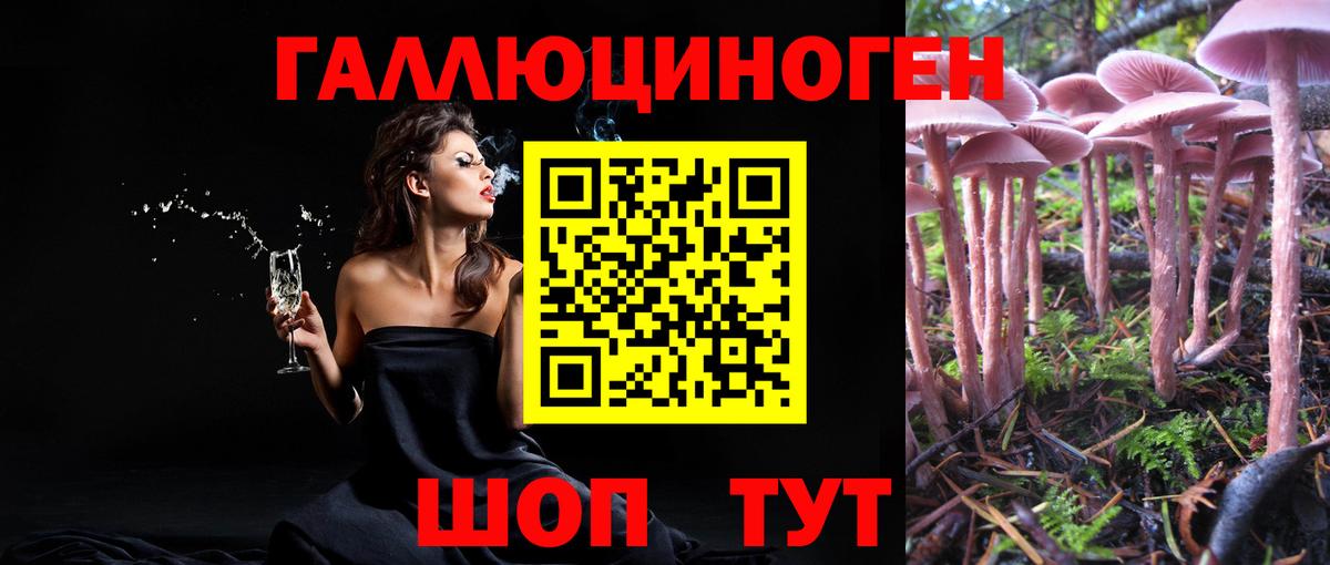 Псилоцибиновые грибы MAGIC MUSHROOMS Шарыпово