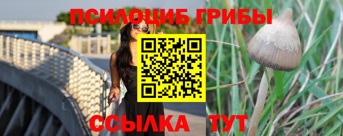 Шарыпово  Галлюциногенные грибы ЛСД  Вход с VPN 
