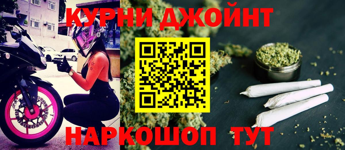 Конопля гибрид Шарыпово